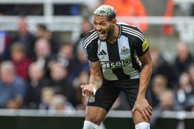 Newcastle United takımına Carabao Kupası 'nda talimat veriyor. Son 16 maçta Newcastle United Chelsea' ye karşı St. James 's Park, Newcastle, İngiltere, 30 Ekim 2024