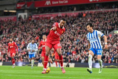 Liverpool 'dan Ryan Gravenberch, İngiltere' nin Liverpool kentinde 2 Kasım 2024 'te oynanan Premier League maçında Liverpool - Brighton ve Hove Albion maçında topun arkasına geçti.