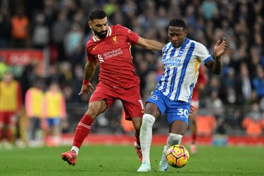 Liverpool 'dan Mohamed Salah ve Brighton & Hove Albion' dan Pervis Estupin Premier Lig karşılaşmasında Liverpool, Brighton ve Hove Albion 'a karşı Anfield, Liverpool, İngiltere' de 2 Kasım 2024 'te oynanan karşılaşmada top için mücadele ettiler.