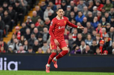 Liverpool 'dan Darwin Nez Premier Lig karşılaşmasında Liverpool, Anfield, Liverpool' da Brighton ve Hove Albion 'a karşı, 2 Kasım 2024