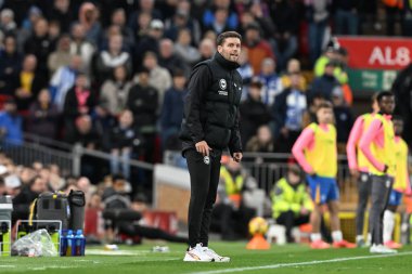 Brighton & Hove Albion takımının teknik direktörü Fabian Hrzeler Premier Lig maçında Liverpool - Brighton ve Hove Albion maçını izliyor.