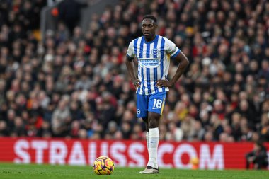 Brighton & Hove Albion takımından Danny Welbeck, 2 Kasım 2024 tarihinde İngiltere 'nin Liverpool kentinde oynanan Premier League maçında Liverpool-Brighton ve Hove Albion maçında serbest atış için bekliyor.