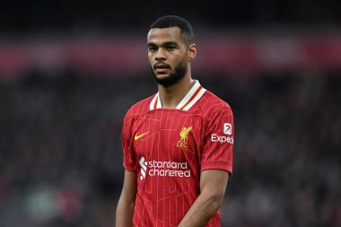 Liverpool 'dan Cody Gakpo Premier Lig maçı sırasında Liverpool' a karşı Anfield, Liverpool 'da Hove Albion, 2 Kasım 2024