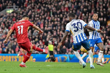 Liverpool 'dan Muhammed Salah Premier Lig karşılaşmasında Liverpool' a karşı Lighton ve Hove Albion 'a karşı Anfield, Liverpool, İngiltere' de 2 Kasım 2024 'te oynanan maçta 2-1' lik skorla gol attı.