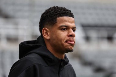 Newcastle United takımından William Osula, Premier League maçı sırasında St.James 's Park, Newcastle, 2 Kasım 2024' te Newcastle 'a geldi.