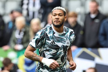 Newcastle United takımından Joelinton Premier Lig karşılaşmasında maç öncesi ısınma oturumunda Newcastle United ile St.James 's Park, Newcastle, 2 Kasım 2024