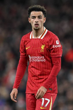 Liverpool 'dan Curtis Jones Premier League maçı sırasında Liverpool, Anfield, Liverpool' da Brighton ve Hove Albion 'a karşı, 2 Kasım 2024