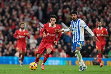 Liverpool 'dan Curtis Jones Premier Lig maçında pas veriyor Liverpool, Anfield, Liverpool' da Liverpool ve Hove Albion 'a karşı, 2 Kasım 2024