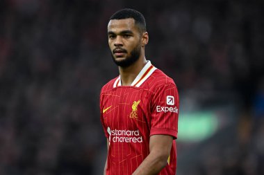 Liverpool 'dan Cody Gakpo Premier Lig maçı sırasında Liverpool' a karşı Anfield, Liverpool 'da Hove Albion, 2 Kasım 2024