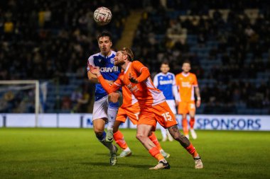 Blackpool 'dan Hayden Coulson, 2 Kasım 2024' te İngiltere 'nin Gillingham Priestfield Stadyumu' nda oynanan 1.