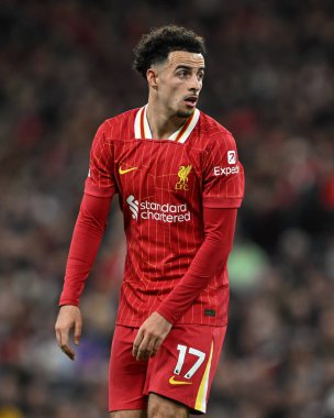 Liverpool 'dan Curtis Jones Premier League maçı sırasında Liverpool, Anfield, Liverpool' da Brighton ve Hove Albion 'a karşı, 2 Kasım 2024