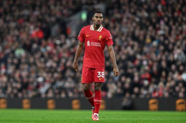 Ryan Gravenberch of Liverpool during the Premier League match Liverpool vs Brighton and Hove Albion at Anfield, Liverpool, United Kingdom, 2nd November 2024 clipart