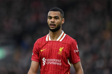 Liverpool 'dan Cody Gakpo Premier Lig maçı sırasında Liverpool' a karşı Anfield, Liverpool 'da Hove Albion, 2 Kasım 2024