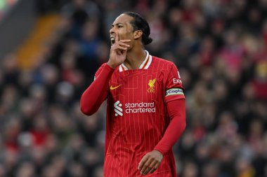 Liverpool 'dan Virgil van Dijk, İngiltere' nin Liverpool kentinde oynanan Liverpool-Brighton ve Hove Albion maçında 2 Kasım 2024 tarihinde antrenman yaptı.