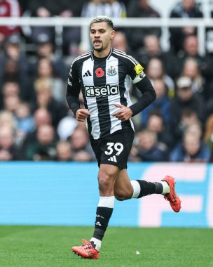 Newcastle United 'dan Bruno Guimares Premier League maçı sırasında Newcastle United ile St.James' s Park, Newcastle, 2 Kasım 2024 'te karşı karşıya geldi.
