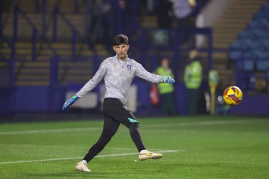 Sheffield 'li James Beadle, 5 Kasım 2024' te İngiltere 'nin Sheffield kentinde oynanan ve Sheffield Wednesday' in Norwich City 'e karşı oynadığı maçta maç öncesi ısınma maçında.