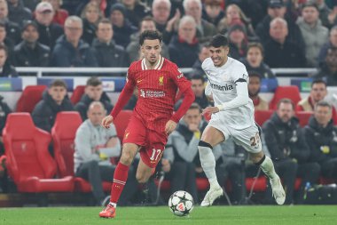 Liverpool 'dan Curtis Jones UEFA Şampiyonlar Ligi, Lig Sahne Maçı' nda Liverpool 'a karşı Bayer 04 Leverkusen Anfield, Liverpool, Birleşik Krallık' ta 5 Kasım 2024 'te
