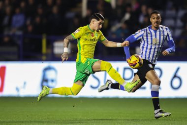 Norwich City 'den Borja Sainz, 5 Kasım 2024' te Sheffield Wednesday, Hillsborough, Sheffield City 'de Norwich City' e karşı oynanan Gökyüzü İddia Şampiyonası maçında görev başında.