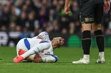Leeds United 'dan Mateo Joseph, Queens Park Rangerssline takımından Jimmy Dunne' ın 9 Kasım 2024 'te Elland Road, Leeds, Birleşik Krallık' ta oynanan Leeds-Queens Park Rangers maçında slayt yapması üzerine tepki gösterdi.
