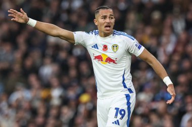 Leeds United takımından Mateo Joseph, 9 Kasım 2024 'te Leeds Road, Leeds, İngiltere' de oynanan Leeds United-Queens Park Rangers maçında tepki gösterdi.