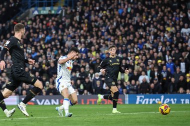 Leeds United 'dan Solomon Malikânesi sayı yaptı ama bayrak kalktı. 9 Kasım 2024 'te Leeds United, Queens Park Rangers' a karşı oynadığı Sky Bet Şampiyonası 'nda ofsayt.
