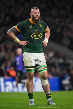 Güney Afrikalı Rg Snyman, 16 Kasım 2024 'te Allianz Stadyumu, Twickenham, Birleşik Krallık' ta İngiltere ile Güney Afrika maçında karşılaşacak.