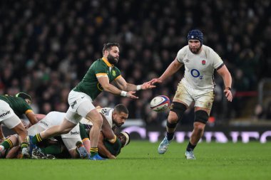 Cobus Reinach of South Africa passes the ball from the bottom of the ruck during the Autumn Nations Series match England vs South Africa at Allianz Stadium,, Twickenham, United Kingdom, 16th November 2024 clipart