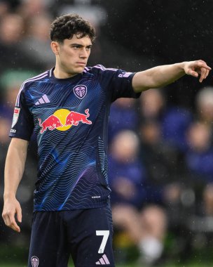 Leeds United takımından Daniel James, 24 Kasım 2024 'te Swansea City' nin Swansea.com Stadyumu 'nda Leeds United' a karşı oynadığı Sky Bet Şampiyonası maçında takım arkadaşlarına talimatlar veriyor.
