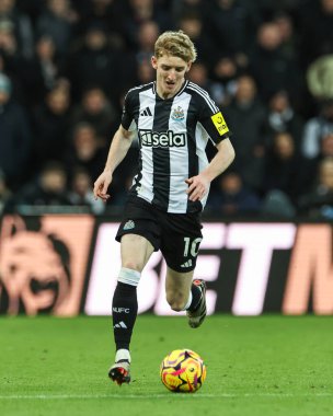 Newcastle United takımından Anthony Gordon, 25 Kasım 2024 'te St. James' s Park, Newcastle 'da oynanan Premier League maçı sırasında topla bir çıkış yaptı.