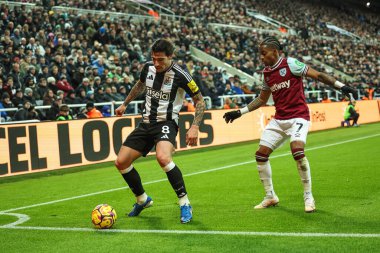 Newcastle United takımından Sandro Tonali, Premier Lig maçı Newcastle United 'a karşı St. James' s Park, Newcastle, İngiltere, 25 Kasım 2024 'te oynanan karşılaşmada topu Crysencio Summerville' den koruyor.