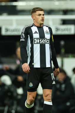 Newcastle United 'dan Harvey Barnes Premier League maçı sırasında Newcastle United ile West Ham United St. James' s Park, Newcastle, İngiltere 'de karşı karşıya geldi, 25 Kasım 2024