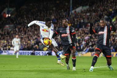 Leeds United takımından Wilfried Gnonto 27 Kasım 2024 'te Leeds Road, İngiltere' de Leeds United ile Luton Town arasındaki Sky Bet Şampiyonası maçında gol attı.