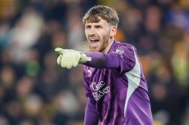 Plymouth Argyle 'dan Dan Grimshaw, 26 Kasım 2024' te Norwich City, Norwich Road, Norwich, İngiltere 'de Plymouth Argyle' a karşı oynanan Gökyüzü İddia Şampiyonası maçında takım talimatlarını veriyor.