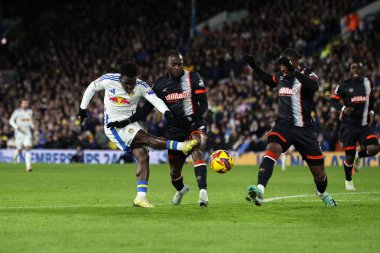 Leeds United takımından Wilfried Gnonto 27 Kasım 2024 'te Leeds Road, İngiltere' de Leeds United ile Luton Town arasındaki Sky Bet Şampiyonası maçında gol attı.