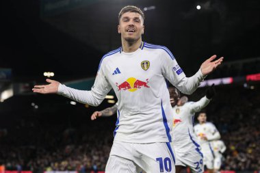 Leeds United takımından Jol Piroe 27 Kasım 2024 'te Leeds Road, Leeds, İngiltere' de oynanan Sky Bet Luton Town maçında 2-0 'lık galibiyet golünü kutluyor.