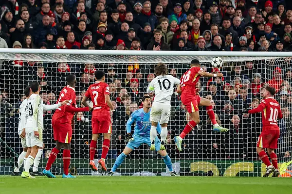 Liverpool 'dan Cody Gakpo UEFA Şampiyonlar Ligi, Lig Faz MD5 Liverpool Real Madrid maçında Anfield, Liverpool, Birleşik Krallık' ta 27 Kasım 2024 tarihinde 2-0 berabere kaldı.