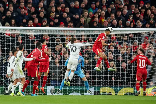 Liverpool 'dan Cody Gakpo UEFA Şampiyonlar Ligi, Lig Faz MD5 Liverpool Real Madrid maçında Anfield, Liverpool, Birleşik Krallık' ta 27 Kasım 2024 tarihinde 2-0 berabere kaldı.