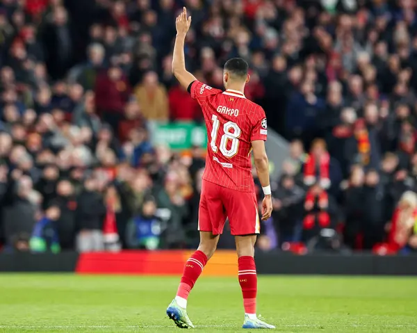 Liverpool 'dan Cody Gakpo, UEFA Şampiyonlar Ligi, Lig Faz MD5 Liverpool - Real Madrid maçında 27 Kasım 2024' te Anfield, Liverpool, İngiltere 'de 2-0' lık galibiyet golünü kutluyor.