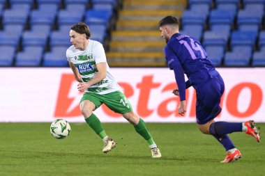 The New Saints F.C. 'den Dan Williams. UEFA Konferans Ligi - Lig Sahnesi maçı The New Saints vs Djurgrden - Croud Meadow, Shrewsbury, İngiltere, 28 Kasım 2024
