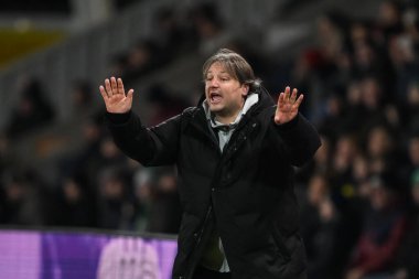 Craig Harrison Head coach of The New Saints F.C. gives his team instructions during the UEFA Conference League - League Stage match The New Saints vs Djurgrden at Croud Meadow, Shrewsbury, United Kingdom, 28th November 2024 clipart