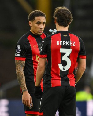 Marcus Tavernier of Bournemouth chats to Milos Kerkez of Bournemouth during the Premier League match Wolverhampton Wanderers vs Bournemouth at Molineux, Wolverhampton, United Kingdom, 30th November 2024 clipart