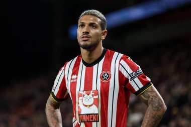 Sheffield United takımından Vini Souza, 29 Kasım 2024 'te Sheffield United ile Sunderland maçında Bramall Lane, Sheffield, İngiltere' de karşılaştı.