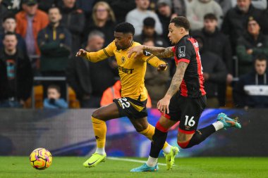 Wolverhampton Wanderers takımından Nlson Semedo ve Bournemouth takımından Marcus Tavernier, 30 Kasım 2024 tarihinde İngiltere 'nin Wolverhampton Wanderers' a karşı oynanan Premier League maçında top için mücadele ettiler.