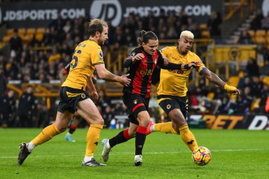 Wolverhampton Wanderers takımından Enes nal ve Mario Lemina, 30 Kasım 2024 tarihinde Wolverhampton Wanderers 'a karşı Bournemouth, Wolverhampton, Birleşik Krallık' ta oynanan Premier League karşılaşmasında top için mücadele ederler.