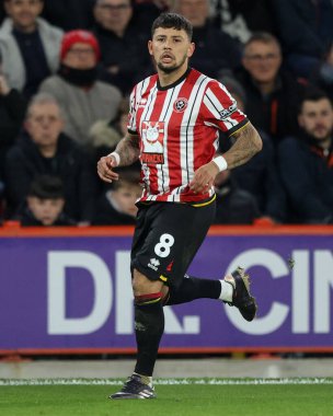 Sheffield United takımının oyuncusu Gustavo Hamer, 29 Kasım 2024 'te Sheffield United ile Sunderland maçında Bramall Lane, Sheffield, İngiltere' de karşılaştı.