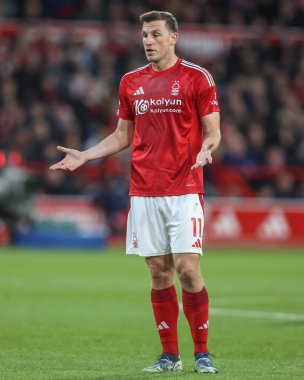 Nottingham Ormanı 'ndan Chris Wood 30 Kasım 2024' te İngiltere 'nin Nottingham Forest-Ipswich Town maçı sırasında tepki gösterdi.