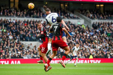 Tottenham Hotspur 'dan Radu Drguin Premier Lig maçında Tottenham Hotspur Fulham' a karşı Tottenham Hotspur Stadyumu, Londra, İngiltere 1 Aralık 2024 'te oynanan maçta kalede kalede lider.