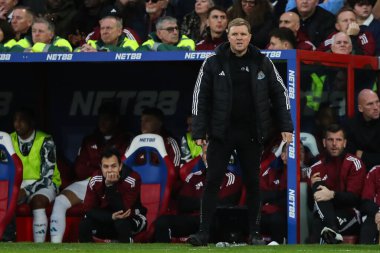 İngiltere 'nin Londra kenti Selhurst Park' ta oynanan Crystal Palace - Newcastle United Premier League maçı sırasında Newcastle United 'ın teknik direktörü Eddie Howe