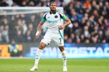 Newcastle United 'dan Joelinton Premier League maçı sırasında Crystal Palace, Newcastle United' a karşı Selhurst Park, Londra, İngiltere, 30 Kasım 2024