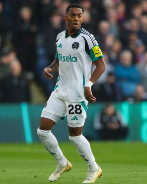 Newcastle United 'dan Joe Willock Premier League maçı sırasında Crystal Palace, Newcastle United' a karşı Selhurst Park, Londra, İngiltere, 30 Kasım 2024